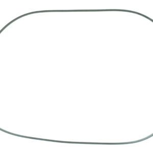 218776 ORING DANA SPICER