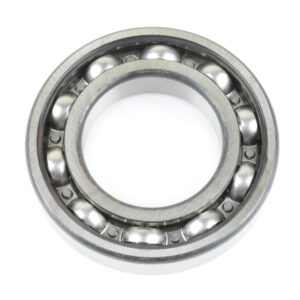 225781 BEARING DANA