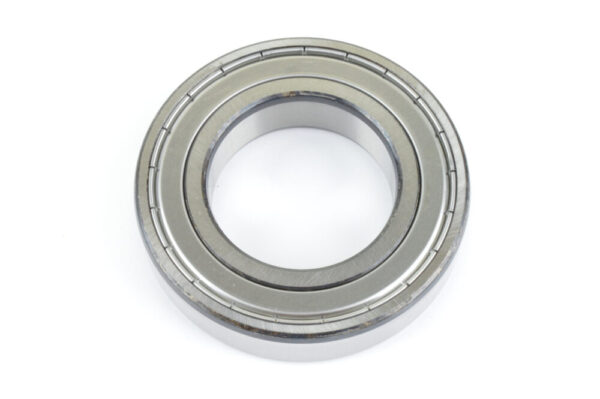 244242 Bearing DANA