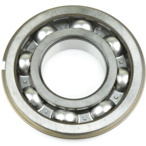 4207386 Bearing DANA