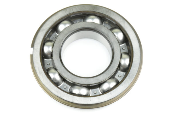 4207386 Bearing DANA