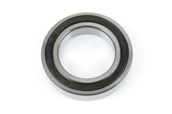 4207425 Bearing DANA