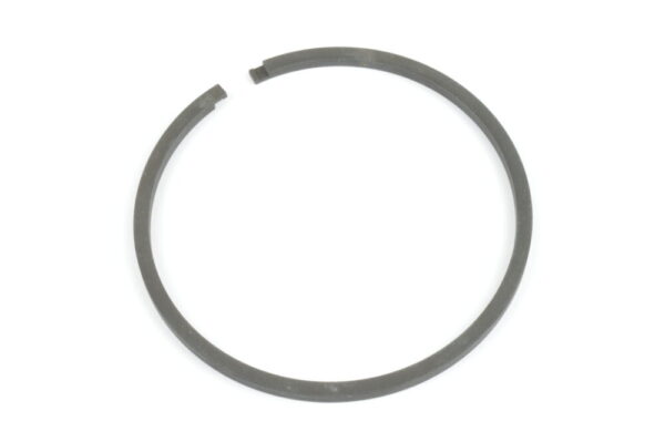 4207427 Piston ring DANA