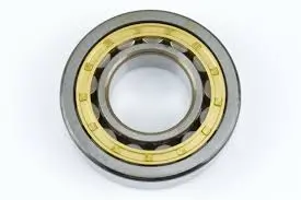 4207465 Bearing DANA