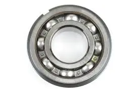 4212866 Bearing DANA
